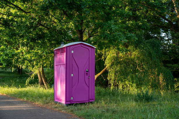 Portable Toilet Options We Offer in Carbondale, IL